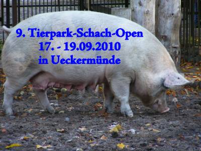 9. Tierpark-Schach-Open